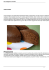 Pan di Spagna al cioccolato