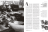 SOCIAL BUSINESS IMPRESA SOCIALE