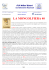 la mongolfiera 40 - FLP Affari Esteri