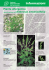 Informazioni - JardinSuisse Ticino