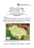 file pdf, scarica/visualizza