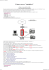 Versione pdf intero documento