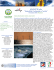 NEWSLETTER sulla “Sostenibilita` Ambientale in Turchia”