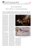 338 Accostamenti tra arte antica e contemporanea :Layout 1
