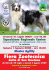 Programma mostra canina 2009 - Fiera Zootecnica di San Gaetano