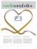 Cardiometabolica News Numero 5 - Fondazione Italiana per il Cuore