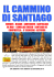 SPAGNA DEL NORD - IL CAMMINO DI SANTIAGO 2016