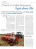 Agricoltura - ottobre 2013