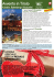 Avvento in Tirolo - Offerte Tour Operator
