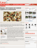 Mosaici: l`innovazione nei materiali trasforma le