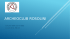 Archeoclub rosolini - Circuito Cave Iblee