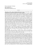 Divina Commedia. Paradiso