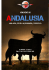 viaggio in andalusia spagna ottobre 2015