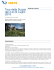 Tour della Scozia dal 3 al 24 Luglio 2015