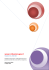 relazione sito web 2013-2014