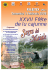 XXVII Fféte de lu cajunne