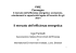 Il mercato dell`efficienza energetica