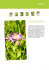 la biodiversita - Provincia di Padova