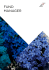 Fund Manager - Ticino for Finance