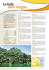 Cina17_gru:Layout 1