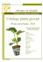 Catalogo Primavera_Estate 2016
