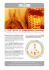 Human Design - L`arte del Comunicare