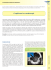 Complicanze in ecoendoscopia