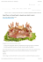 Food Porn e Visual food: a tavola con tutti i sensi