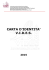 Carta d`identità VIDES (IT)