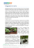 Irrigazione in serra PDF