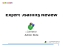 Expert Usability Review