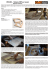 BTS-002 – Sistema CMT per vassoi