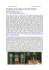 Il Labirinto di Versailles (Labyrinth of fables)