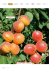 ORANGE RUBIS® Couloumine* LUNAFULL*