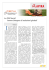 documento Fenix e Paciotti