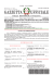 gazzetta ufficiale