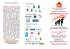 Brochure (Pdf-316Kb)