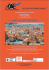PROGRAMME BOLOGNE ITALIEN - Studio Legale Finocchiaro