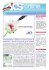 AICS ON LINE N° 309 del 30/05/2013