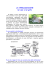 La sterilizzazione - Ambulatorio Veterinario "STELLA ALPINA"
