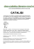 Polimeri catalisi approfondimenti