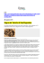 28 Agosto 2015 Sagra del Tartufo di Sant`Agostino