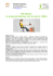 MS EXCEL: la programmazione con le macro (VBA)