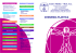 Brochure informativa