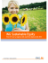 ING Sustainable Equity