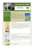 La Newsletter del Parco Nazionale d`Abruzzo Lazio e Molise