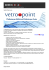 Vetro Point sas