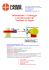 visualizza pdf