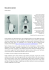 scarica pdf - laboratorio donnae
