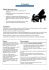 Il Pianoforte
